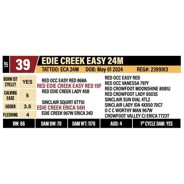 EDIE CREEK EASY 24M