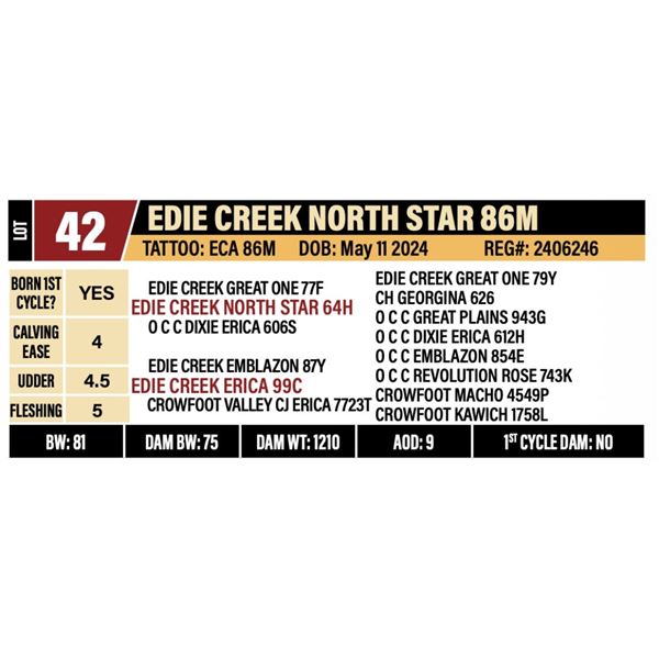 EDIE CREEK NORTH STAR 86M