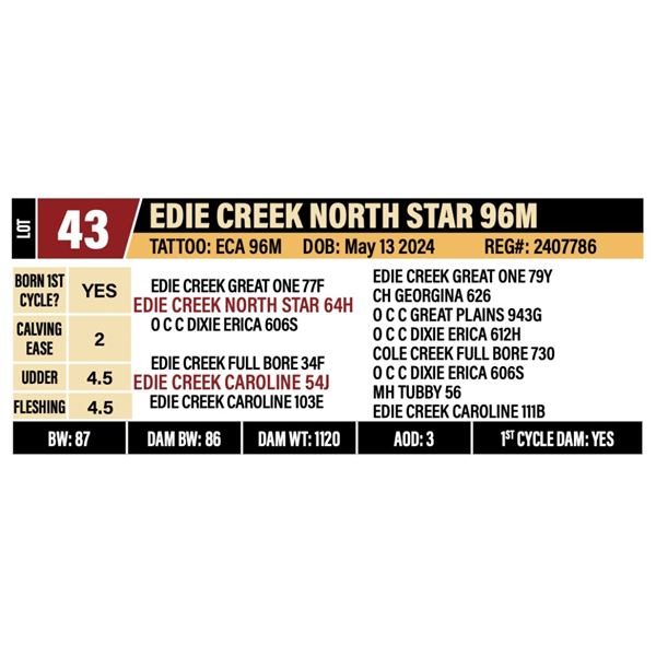 EDIE CREEK NORTH STAR 96M