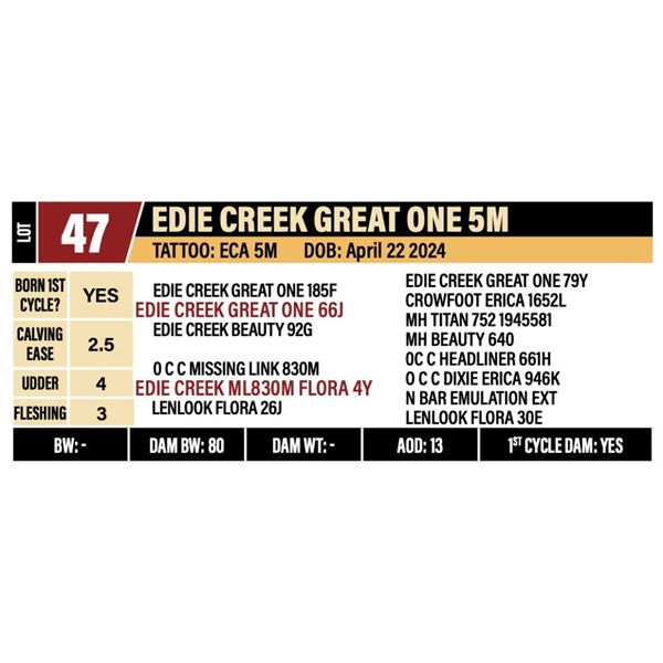 EDIE CREEK GREAT ONE 5M
