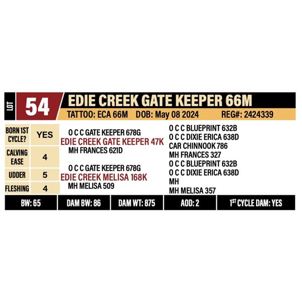 EDIE CREEK GATE KEEPER 66M