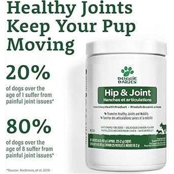 Doggie Dailies Hip and Joint Soft Chews for Dogs 453g