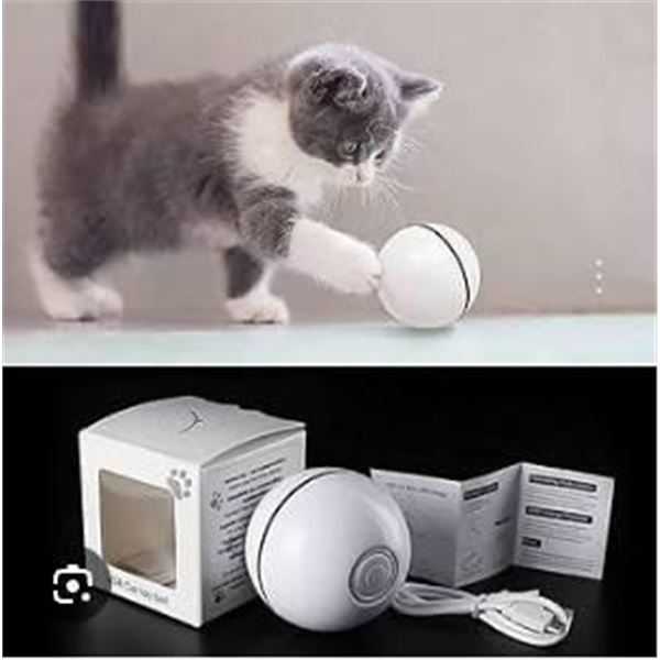 USB Rechargeable Interactive Cat Toy Ball