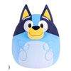 Image 1 : Bluey  Squishmallow