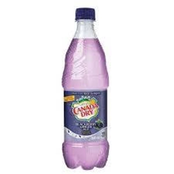 Canada Dry Blackberry 24 x 500 mL Bottles