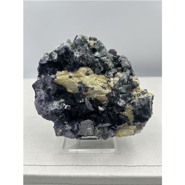 5 X 7 1/2 INCH RARE PURPLE AND GREEN FLUORITE SPECIMEN ON STAND