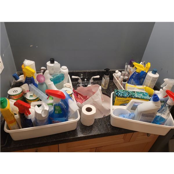Household Cleaners, Hygiene A