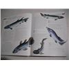 Image 4 : 1999 Illustrated Encyclopedia of Dinosaurs and Prehistoric Creatures