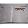 Image 6 : 1999 Illustrated Encyclopedia of Dinosaurs and Prehistoric Creatures