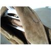 Image 5 : Britches Genuine Leather Jacket Size XL