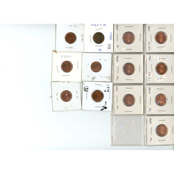 Lot of Canadian Pennies Ranging From Year, Condition, and etc.