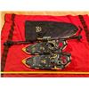 Image 1 : Snow Shoes w/ Telescopic Poles and Case