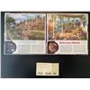 Image 2 : 2 - 1000 piece puzzles