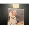 Image 4 : 2 Captain & Tennille albums
