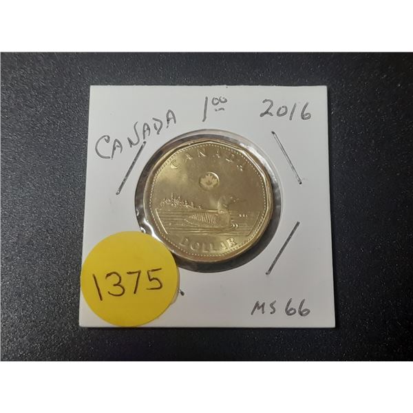 2016 MS-66 Canadian Loon Dollar