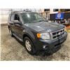 Image 9 : PARKSVILLE - 2008 FORD ESCAPE GREY 131508 MILES - DB90936