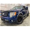 Image 1 : PARKSVILLE - 2009 FORD F-150 BLUE 187830 KMS - BA48347