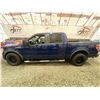 Image 23 : PARKSVILLE - 2009 FORD F-150 BLUE 187830 KMS - BA48347