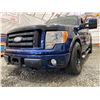 Image 2 : PARKSVILLE - 2009 FORD F-150 BLUE 187830 KMS - BA48347
