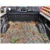 Image 43 : PARKSVILLE - 2009 FORD F-150 BLUE 187830 KMS - BA48347