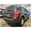 Image 14 : PARKSVILLE - 2008 FORD ESCAPE GREY 131508 MILES - DB90936