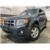 Image 1 : PARKSVILLE - 2008 FORD ESCAPE GREY 131508 MILES - DB90936