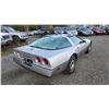 Image 10 : DUNCAN - 1984 CHEVROLET CORVETTE SILVER  128080 KMS - D117474