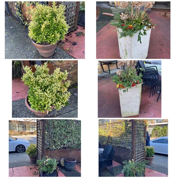 Group - Outdoor planters - (x8)
