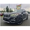 Image 1 : DUNCAN - 2017 BMW X1 BLACK  162213 KMS - DF74294