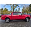 Image 14 : DUNCAN - 2012 FORD F-150 RED 190703 KMS - DC64498