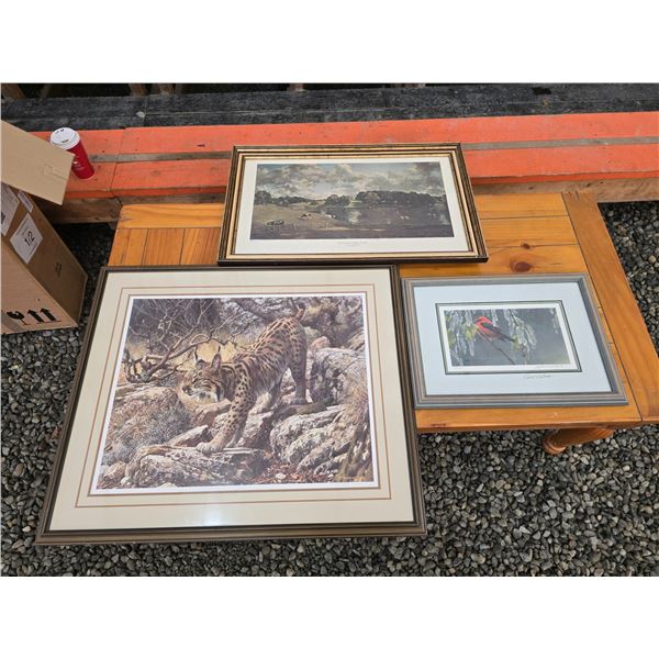 338 -- 3 FRAMED WILDLIFE PHOTOS