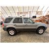 Image 11 : PARKSVILLE - 2006 FORD ESCAPE GREEN 208975 KMS - DD13336
