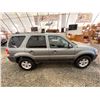 Image 12 : PARKSVILLE - 2006 FORD ESCAPE GREEN 208975 KMS - DD13336