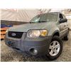 Image 1 : PARKSVILLE - 2006 FORD ESCAPE GREEN 208975 KMS - DD13336