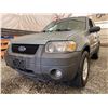 Image 2 : PARKSVILLE - 2006 FORD ESCAPE GREEN 208975 KMS - DD13336