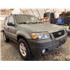 Image 8 : PARKSVILLE - 2006 FORD ESCAPE GREEN 208975 KMS - DD13336