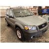 Image 9 : PARKSVILLE - 2006 FORD ESCAPE GREEN 208975 KMS - DD13336