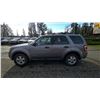 Image 14 : DUNCAN - 2008 FORD ESCAPE GREY 311607 KMS - DA49041