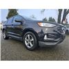 Image 20 : DUNCAN - 2019 FORD EDGE BLACK 169007 KMS - DB71092