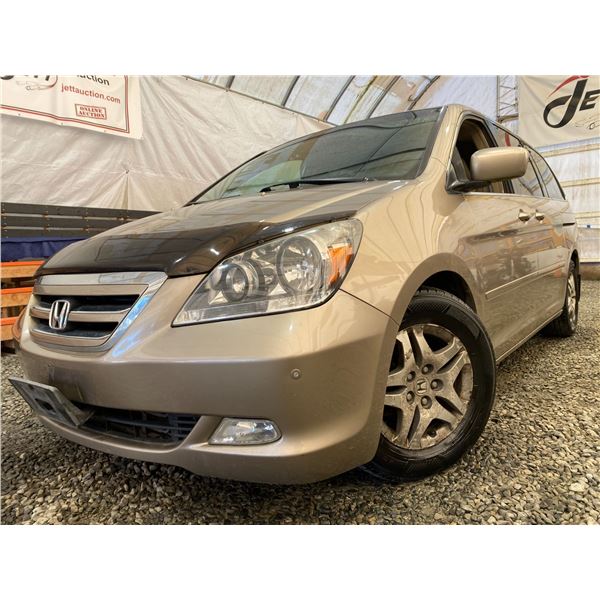 PARKSVILLE - 2005 HONDA ODYSSEY GOLD 247134 KMS - D505658