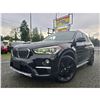 Image 1 : DUNCAN - 2017 BMW X1 BLACK  162213 KMS - DF74294