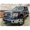Image 1 : PARKSVILLE - 2014 FORD F-150 BLUE 287516 KMS - BB90902