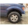 Image 25 : PARKSVILLE - 2014 FORD F-150 BLUE 287516 KMS - BB90902