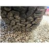 Image 24 : PARKSVILLE - 2007 TOYOTA TUNDRA SILVER 164957 MILES - B001776