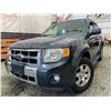 Image 1 : PARKSVILLE - 2008 FORD ESCAPE GREY 232389 KMS - BA54159