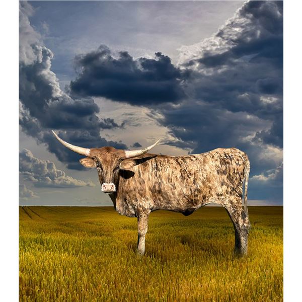 RC DON’T STOP BELIEVIN