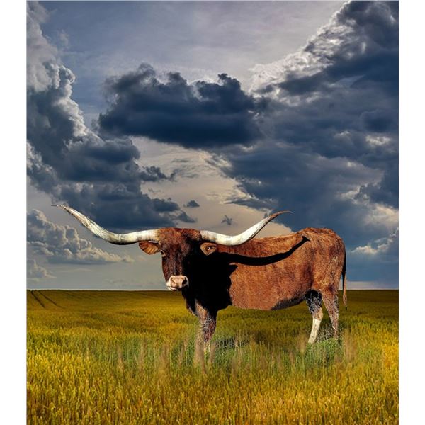 BRINDLE ROULETTE HCL