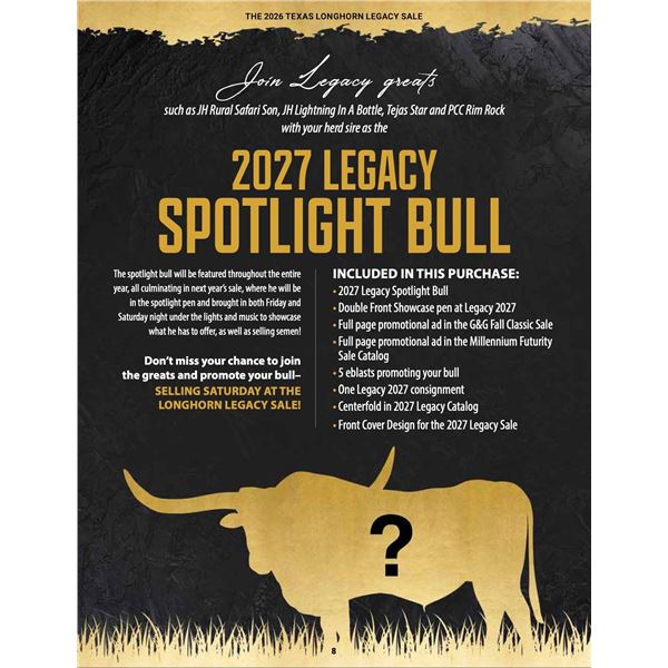 Spotlight Bull