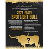 Image 1 : Spotlight Bull