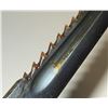 Image 4 : #221 WW1 Swiss M1914 Bayonet Sawback w/ Scabbard +